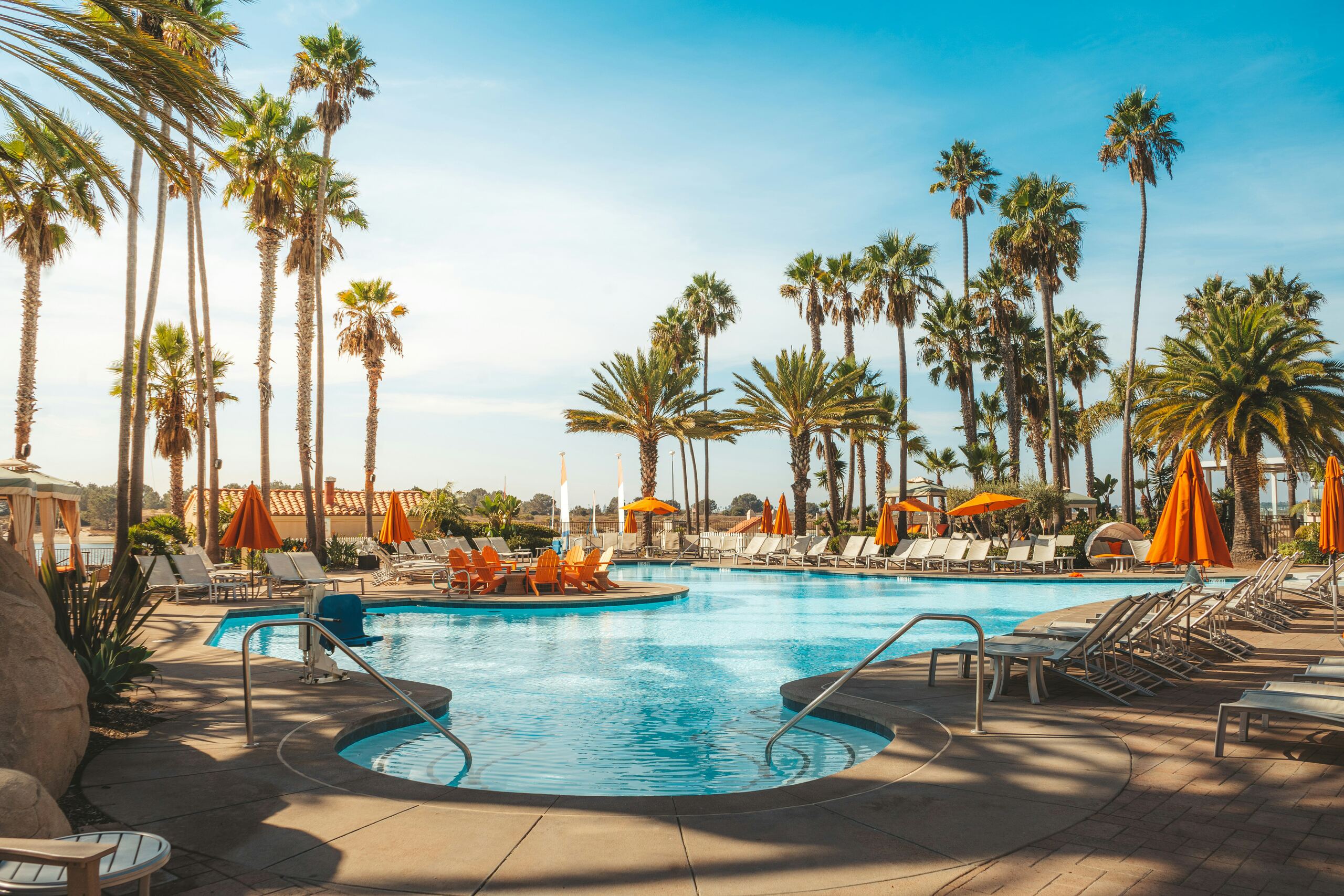A resort pool among palm trees
